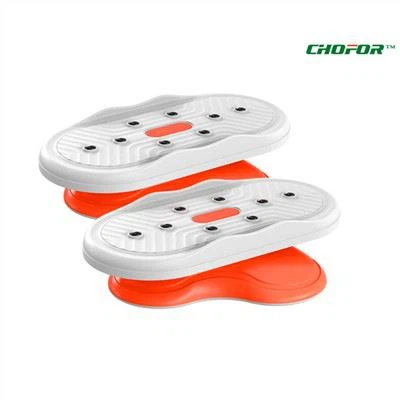 Aerobic Waist Twisting Disc